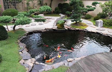 ponds-waterproofing